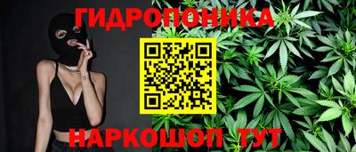 spice Рязань
