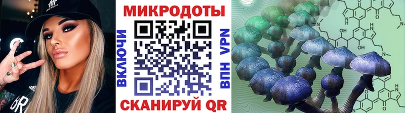 hydra сайт  Узловая  Псилоцибиновые грибы Psilocybine cubensis 