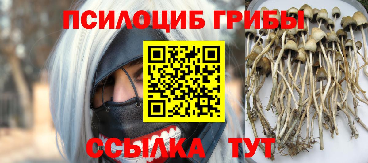 Галлюциногенные грибы мухоморы  Вход с VPN  Псилоцибиновые грибы Psilocybine cubensis  Узловая 